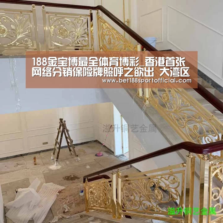 188金宝博最全体育博彩_香港首张网络分销保险牌照呼之欲出 大湾区保险服务中心设立望双赢(图4) 金宝博