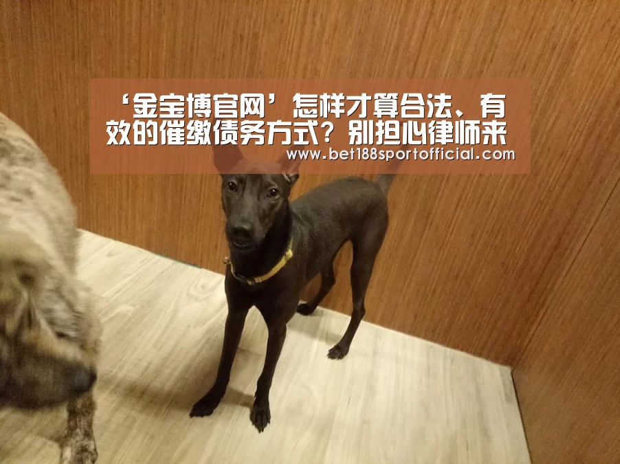 金宝博官网