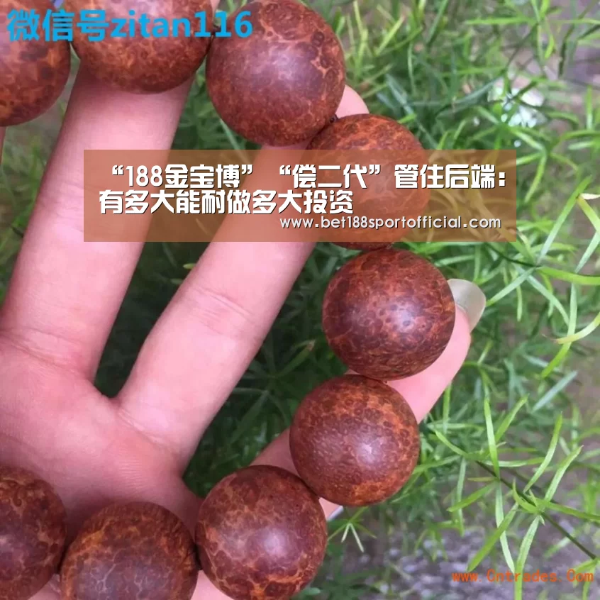 “188金宝博”“偿二代”管住后端:有多大能耐做多大投资(图1) 金宝博官网