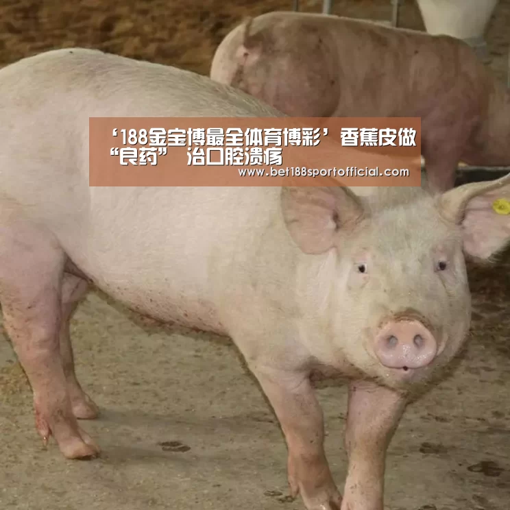 ‘188金宝博最全体育博彩’香蕉皮做“良药” 治口腔溃疡(图2) 188金宝博