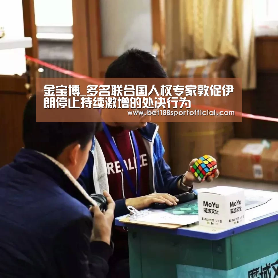 金宝博_多名联合国人权专家敦促伊朗停止持续激增的处决行为(图2) 金宝博