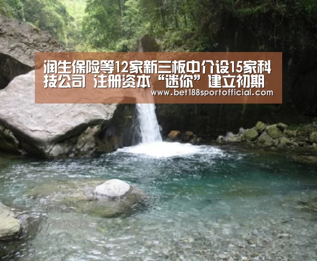 润生保险等12家新三板中介设15家科技公司 注册资本“迷你”建立初期多亏损_金宝博官网(图2) 金宝博官网
