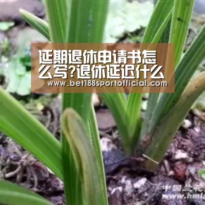 延期退休申请书怎么写?退休延迟什么时候开始?‘金宝博官网’(图2) 188金宝博