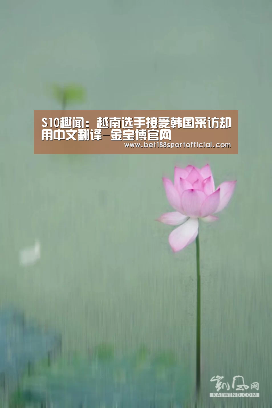 S10趣闻:越南选手接受韩国采访却用中文翻译-金宝博官网(图2) 金宝博官网