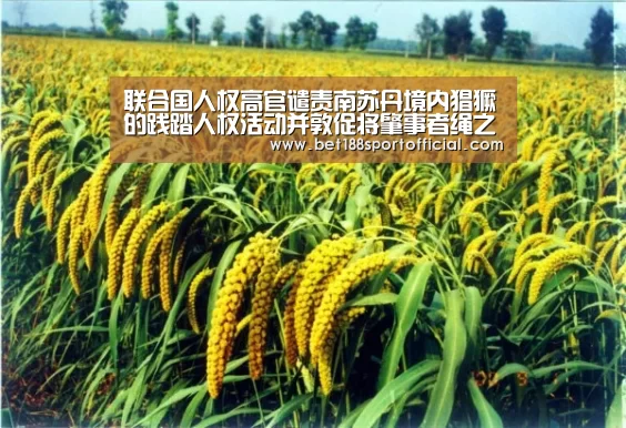 188金宝博